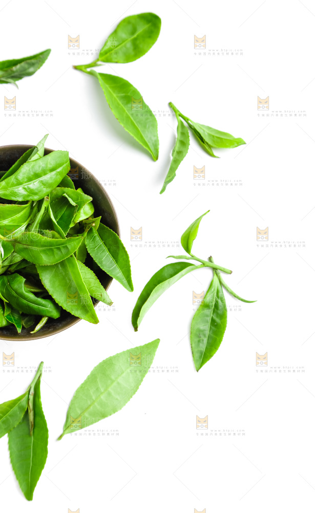 白底上放着绿茶叶