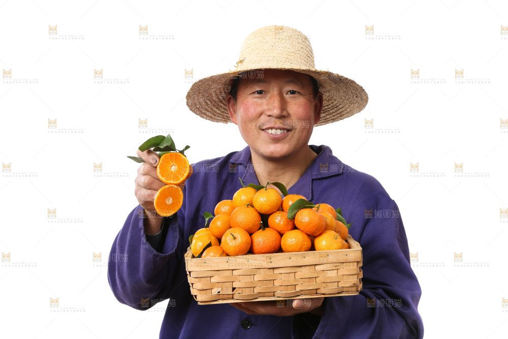 农民手里捧着广西砂糖橘