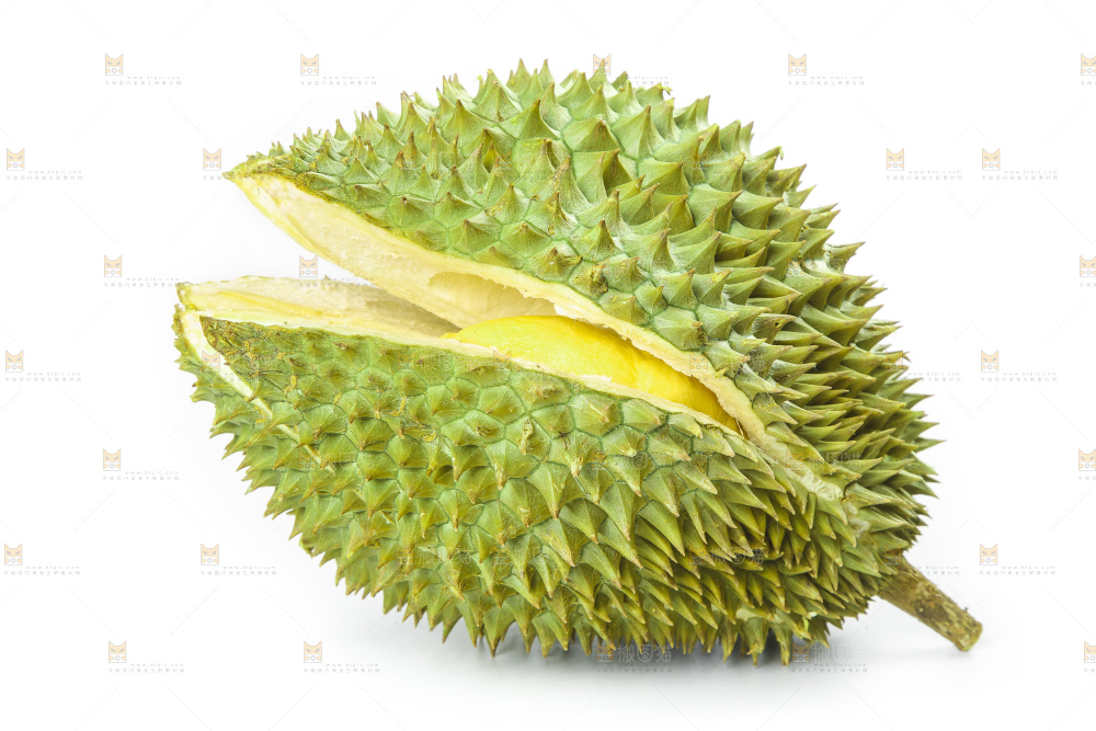 白底上放着泰国金枕榴莲