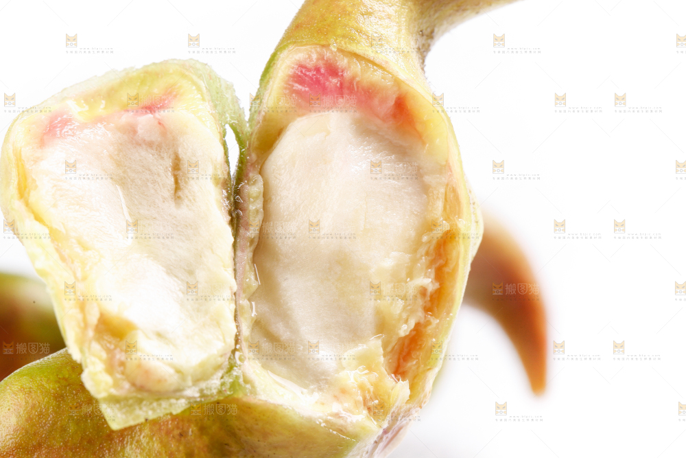 白底上的菱角