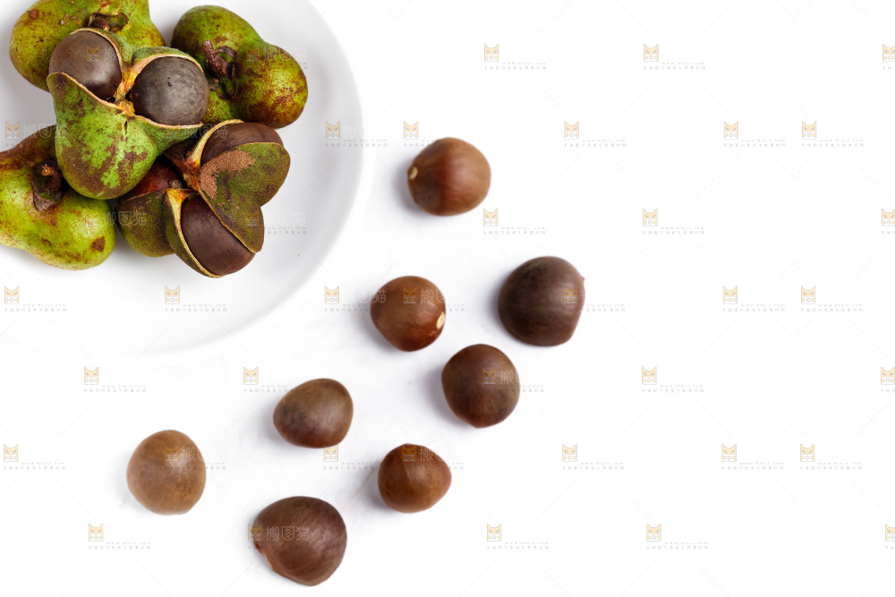 白底上摆放着茶树果