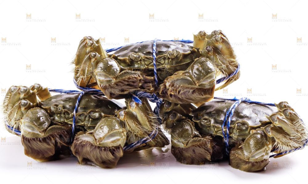 白底上放着大闸蟹