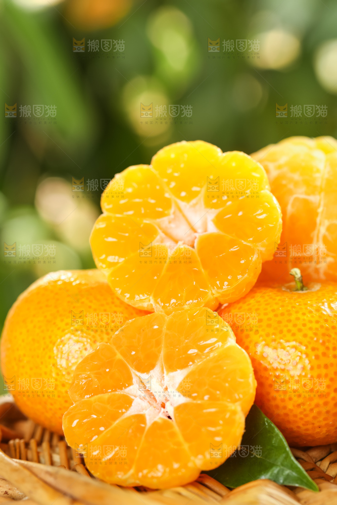 篮子里装着广西砂糖橘
