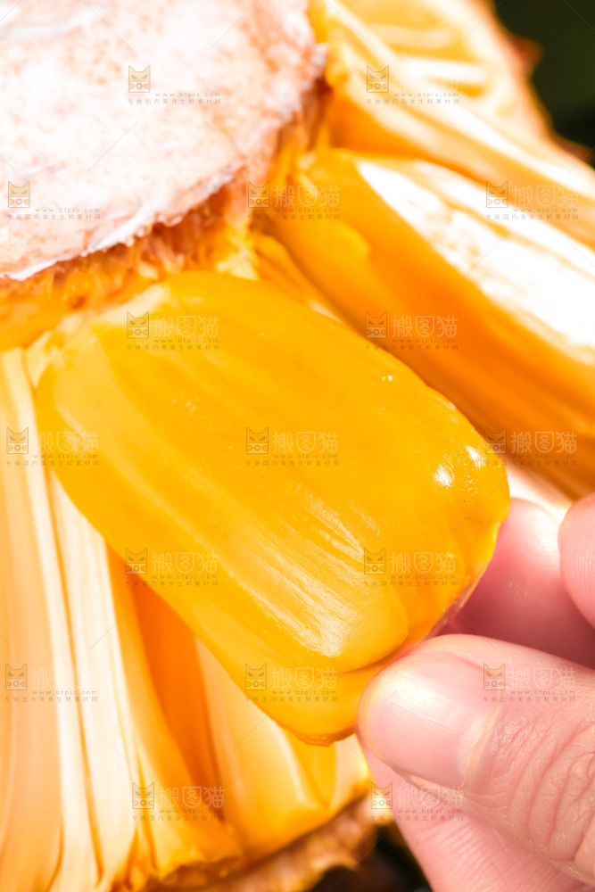 手里拿着新鲜菠萝蜜