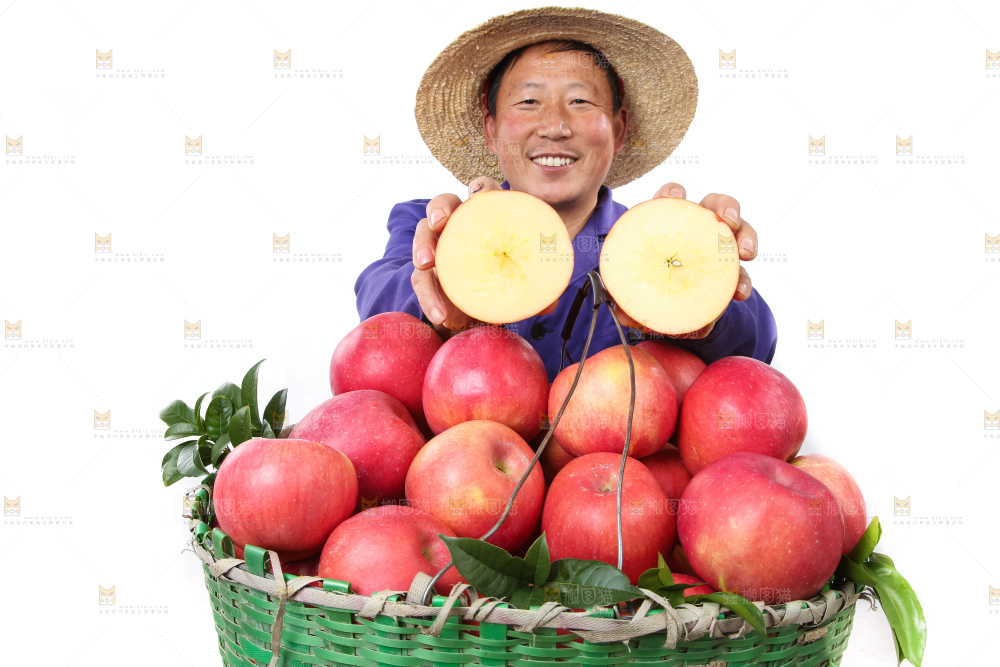 农民手里拿着红富士苹果