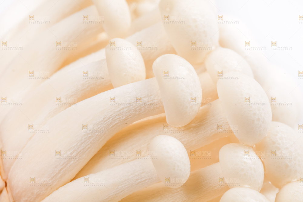白底上放着白玉菇