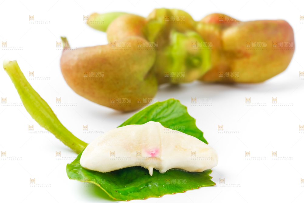 浅底上的新鲜菱角