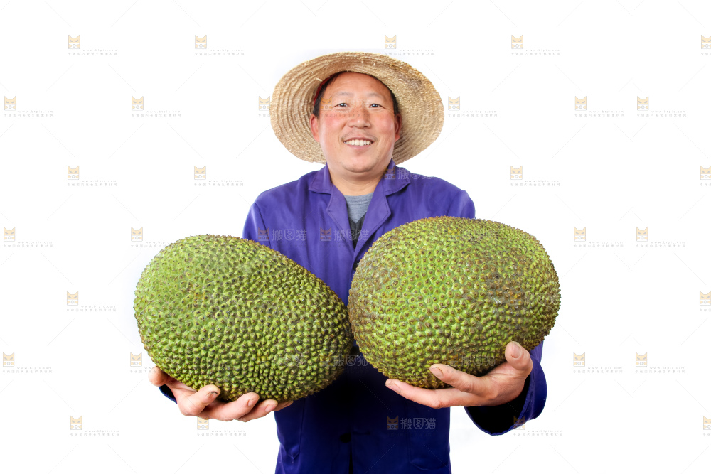 农民手里拿着菠萝蜜