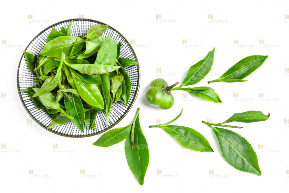 白底上放着绿茶叶