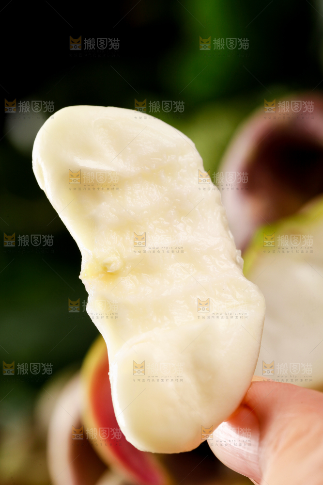 手里拿着新鲜菱角