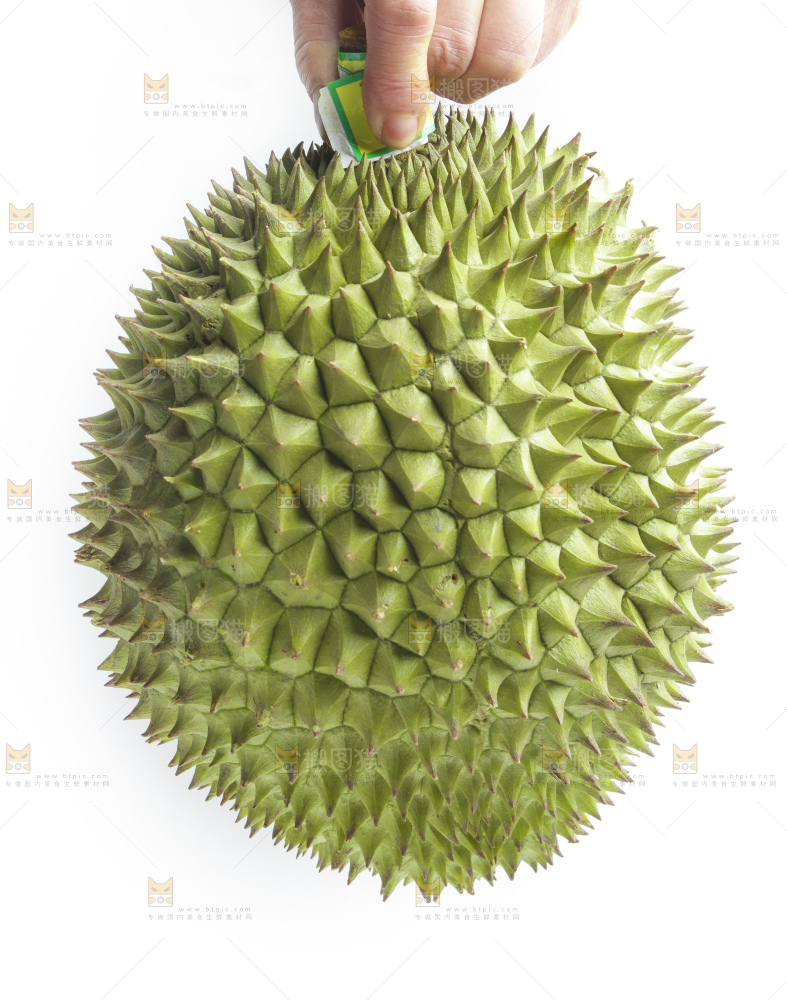 白底上放着猫山王榴莲