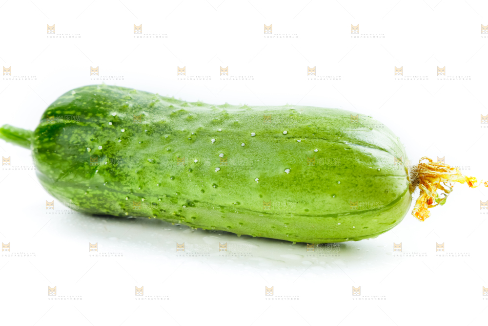 白底上的小黄瓜
