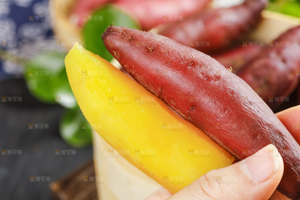 手里拿着临安小香薯