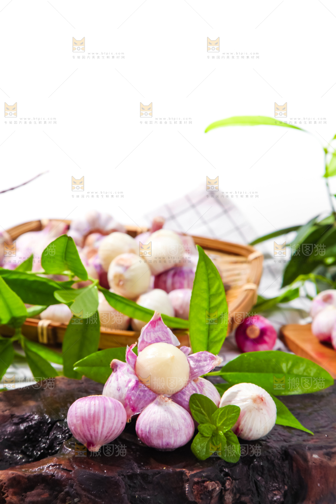 深底上摆放着紫皮独蒜