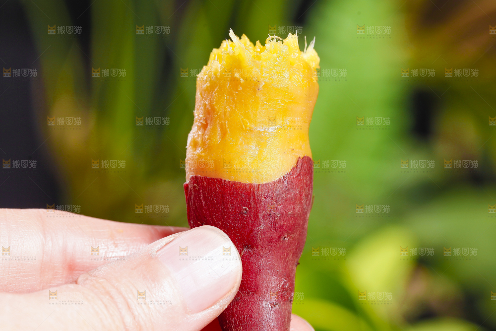 手里拿着小红薯