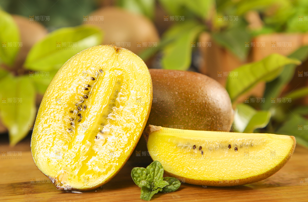 木底上摆放着黄金猕猴桃