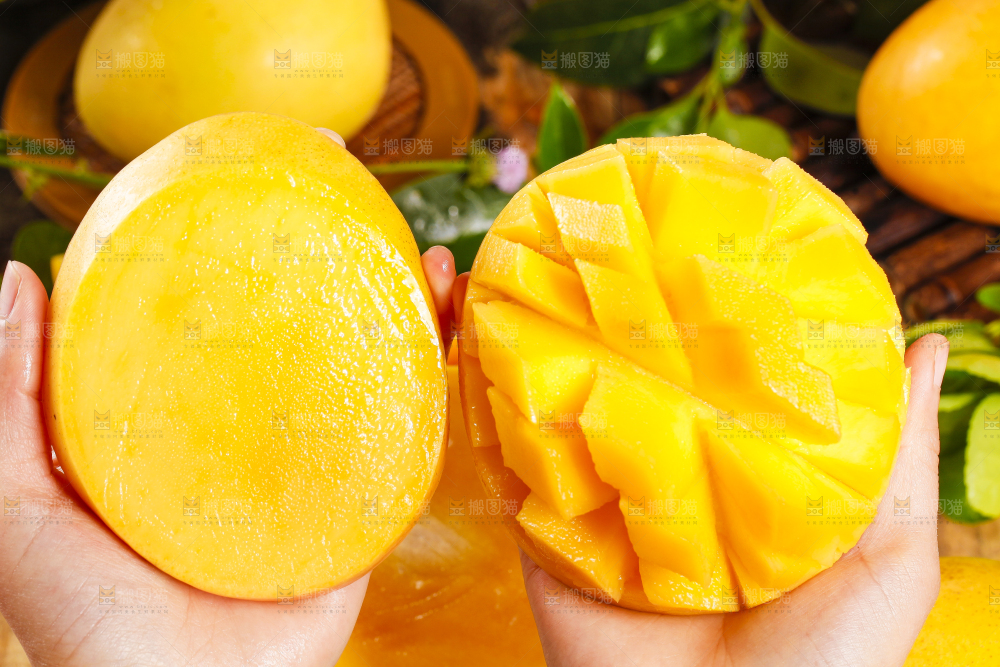 手里拿着新鲜澳芒