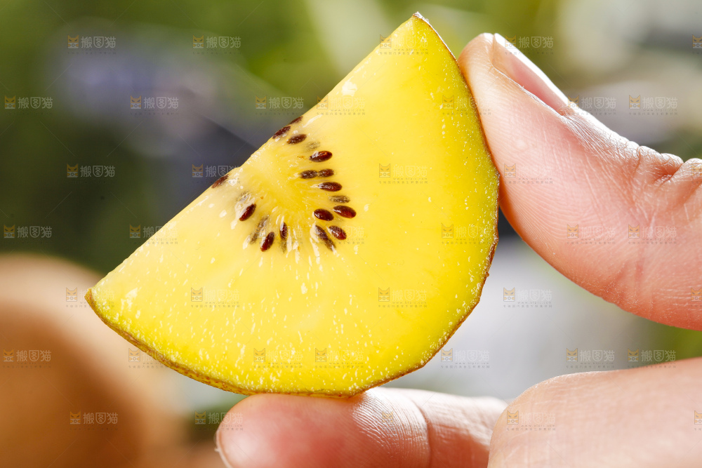 手里拿着黄心奇异果