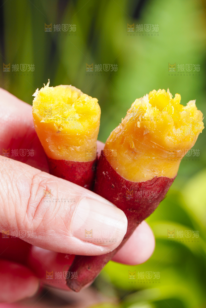 手里拿着小红薯