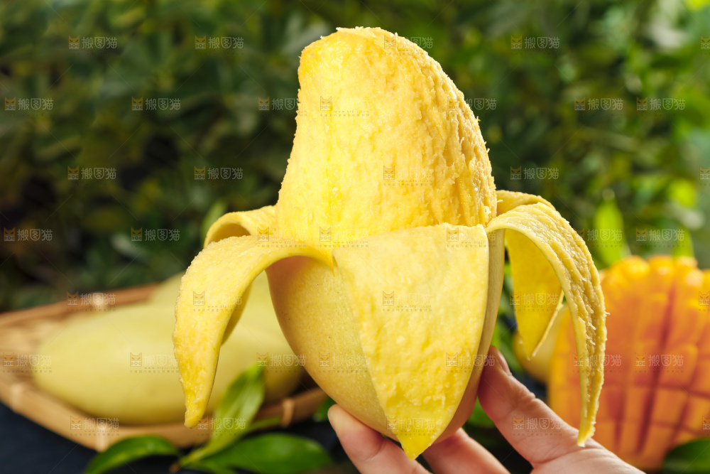 手里拿着金煌芒