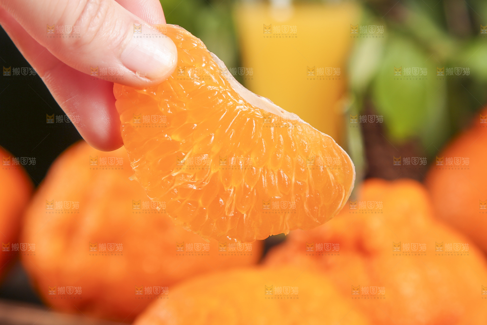 手里拿着丑橘的果肉