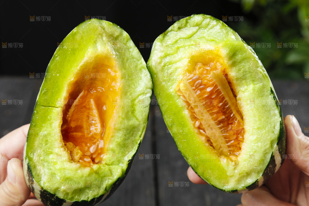 手里拿着博洋9号甜瓜