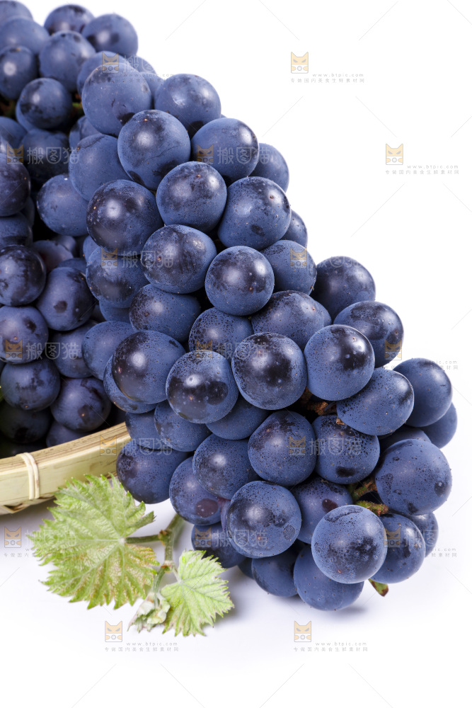 白底上放着云南夏黑葡萄
