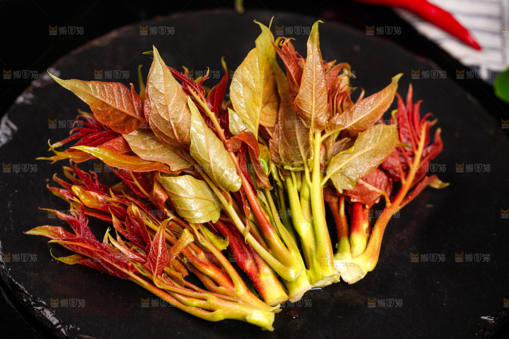 黑底上放着香椿苗芽