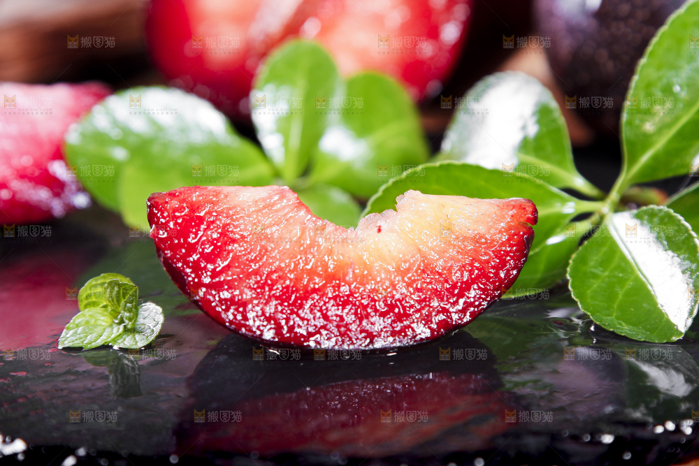 黑底上摆放着智利进口恐龙蛋