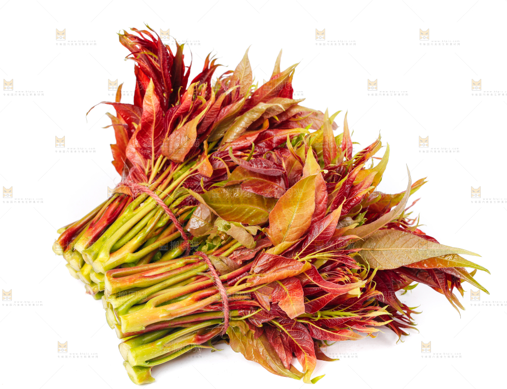 白底上摆放着香椿芽
