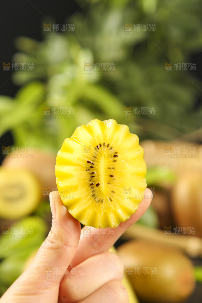 手里拿着黄心奇异果