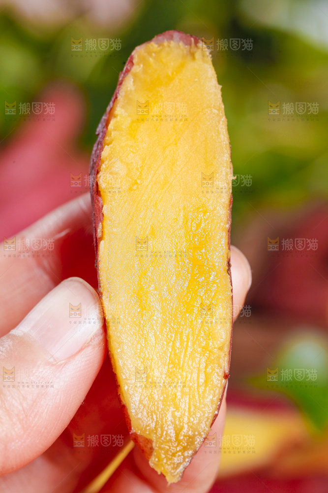 手里拿着小红薯