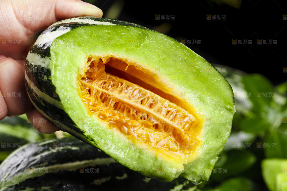 手里拿着博洋9号