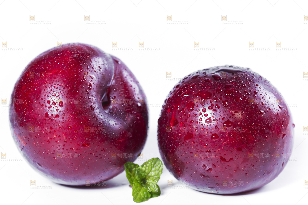 白底上摆放着新鲜恐龙蛋李