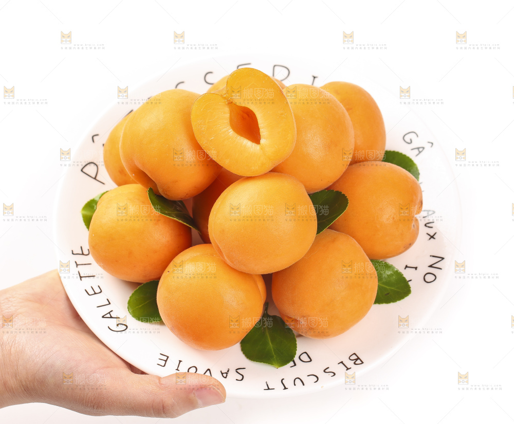 手里拿着一盘金太阳杏