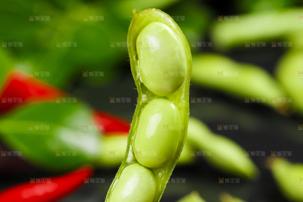 黑底上摆放着毛豆角