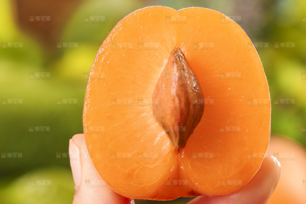 手里拿着凯特杏