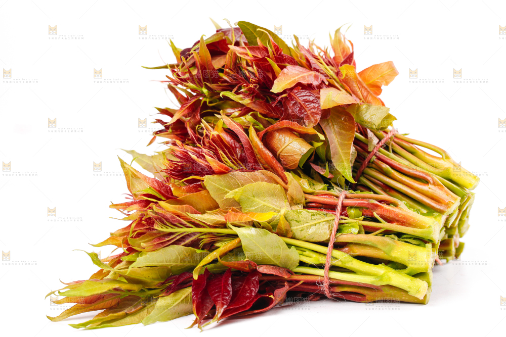 白底上摆放着香椿芽