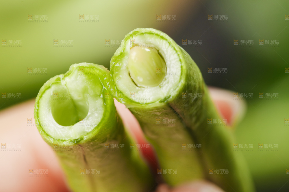 手里拿着长豇豆