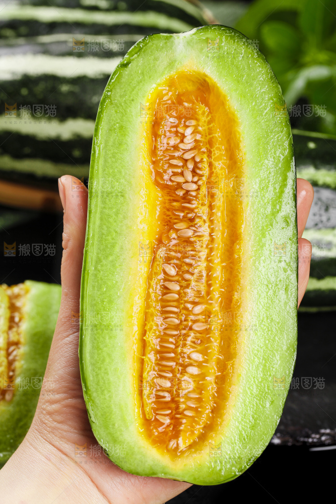 手里拿着花皮甜瓜