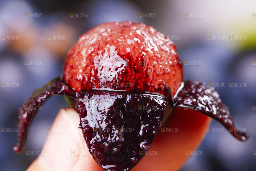 手里拿着夏黑葡萄