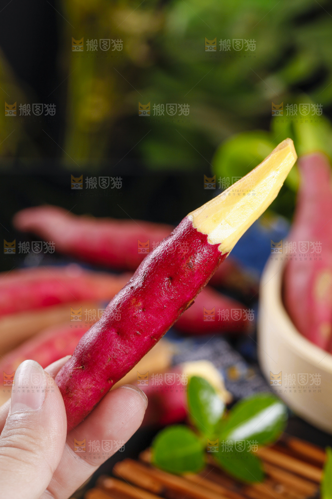 手里拿着沙地蜜薯 