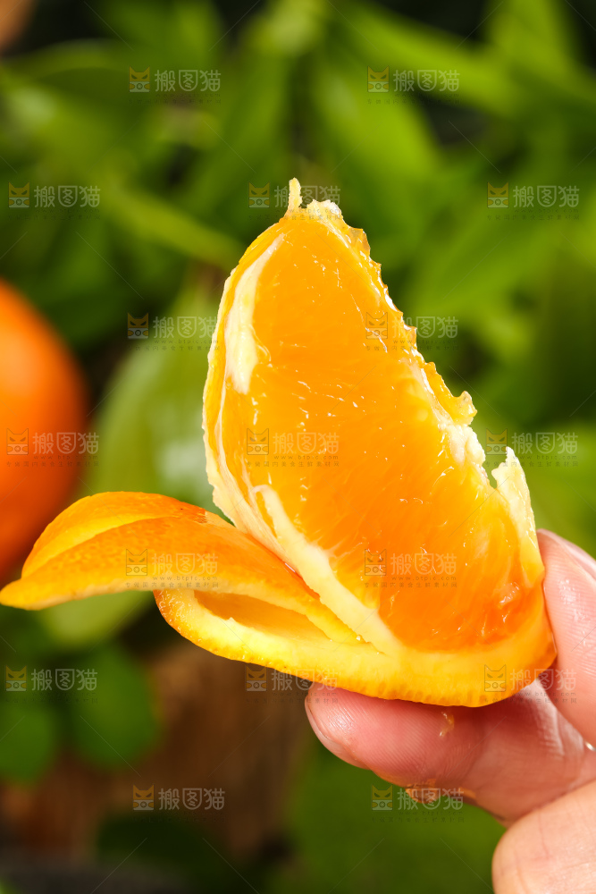 手里拿着脐橙