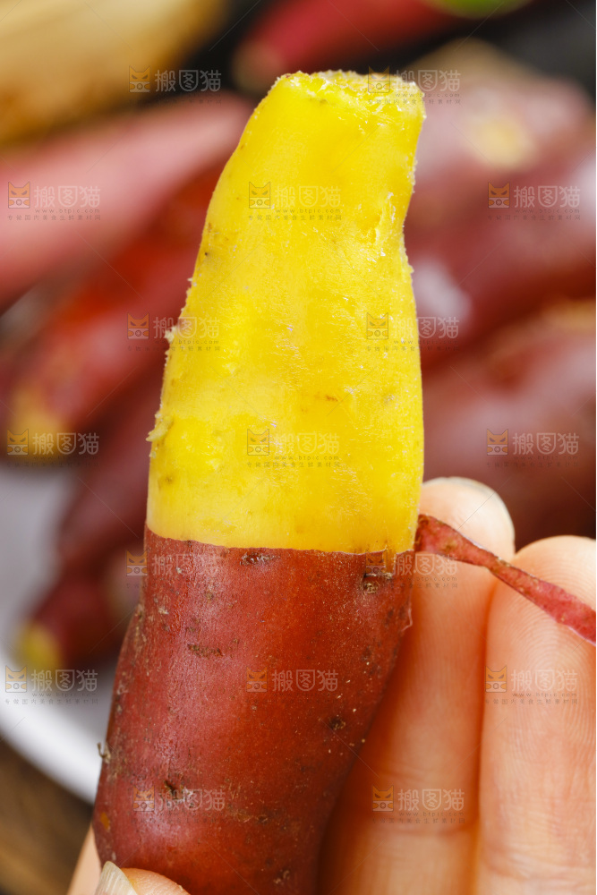 手里拿着天目山小香薯