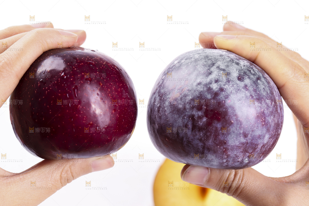 手里拿着进口黑布林
