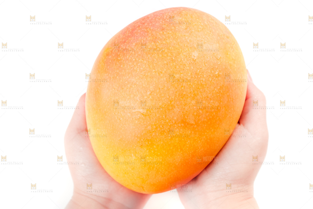 手里拿着黄金澳芒