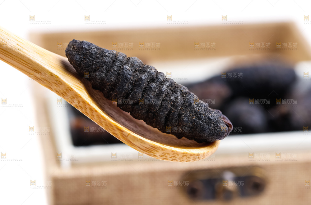 勺子上放着干海参
