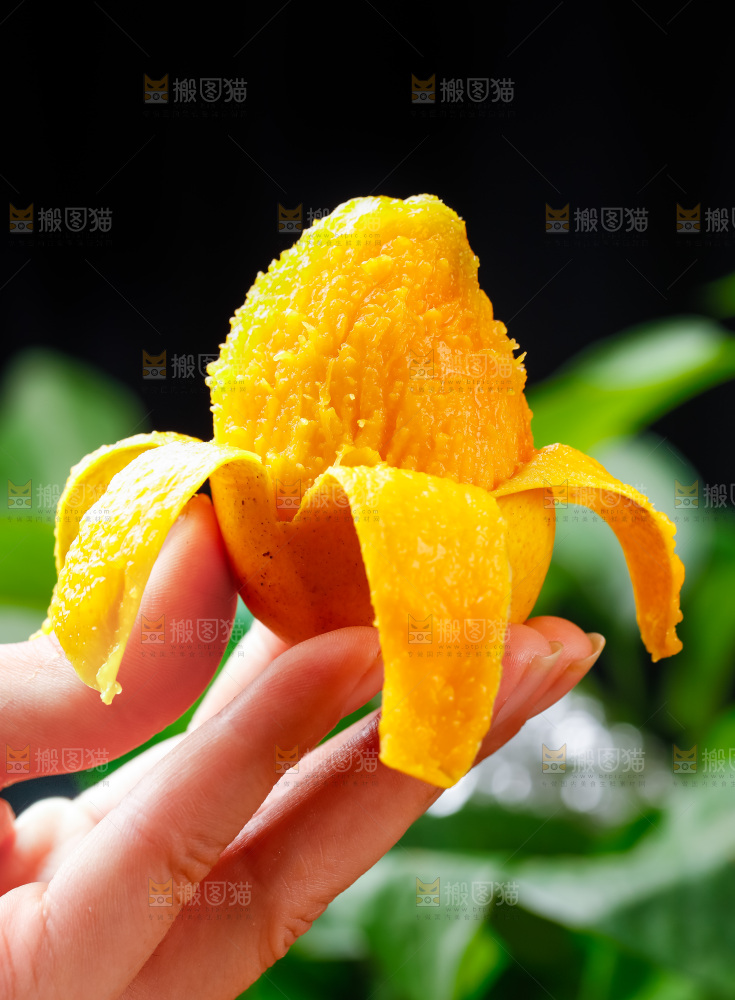 手里拿着小台芒