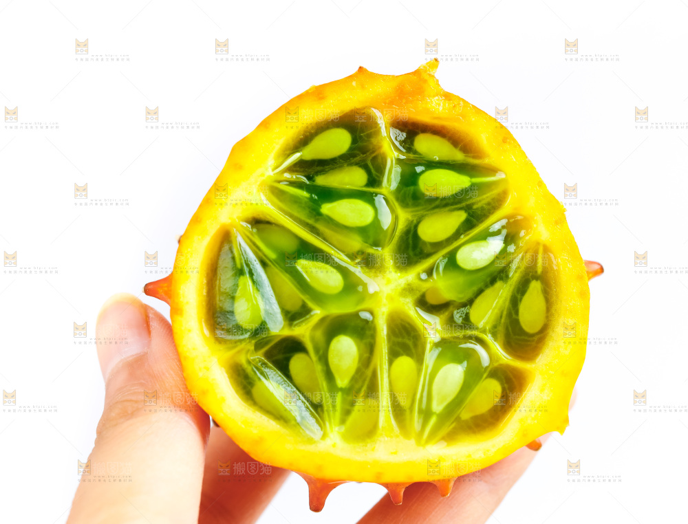 手里拿着海参果