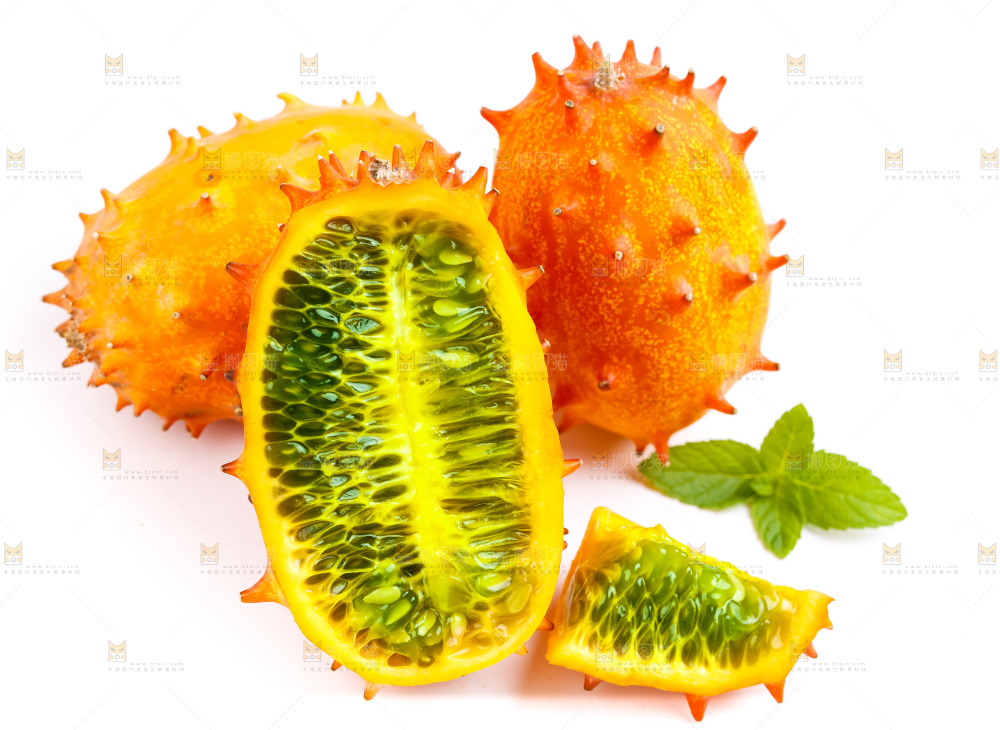 白底上的刺角瓜